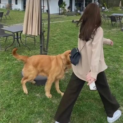 本森少校的私人战争